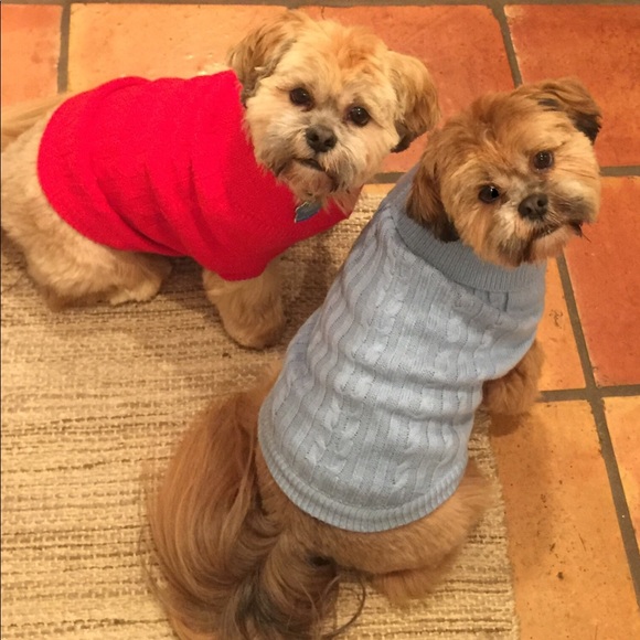 Meet your Posher, Alyssa - Picture 1 of 2